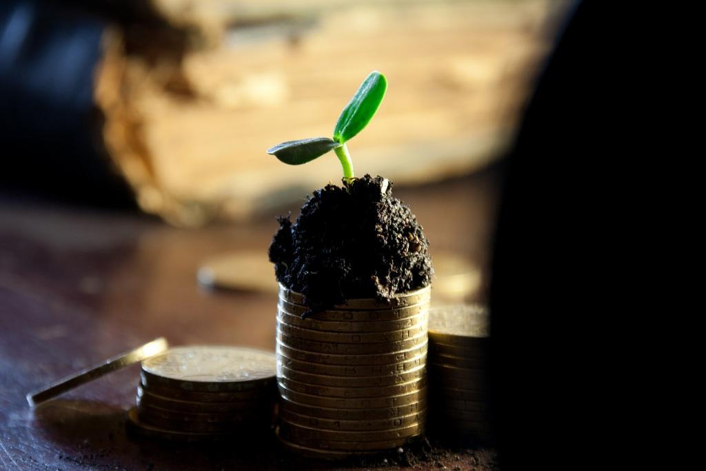 A small stack of coins with a little soil on top and a growing plant shoot, Symbolising your business' financial state.